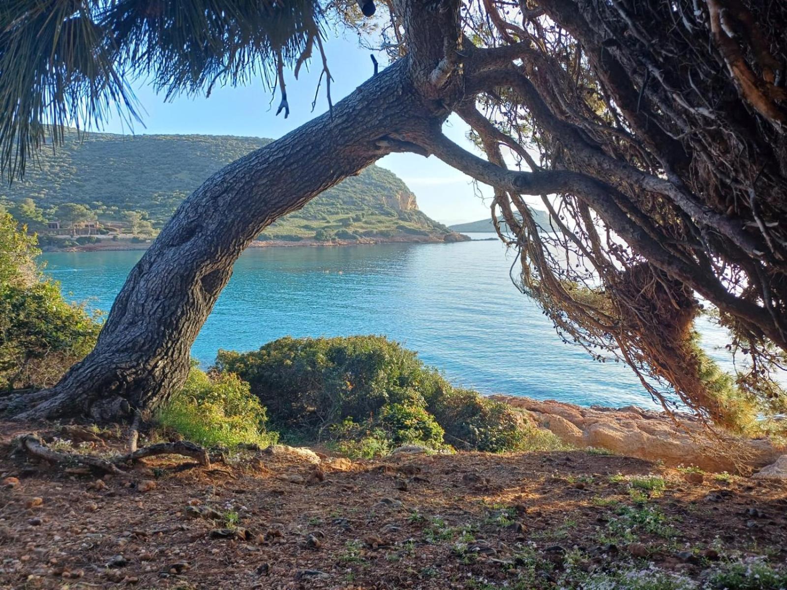 Pool 5 Minutes Walk From * Porto Rafti